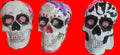 MEDIUM SKULLS
