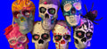 MEDIUM SIZED SKULLS