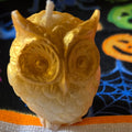 SMALL OWL