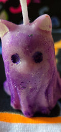 PURPLE CAT