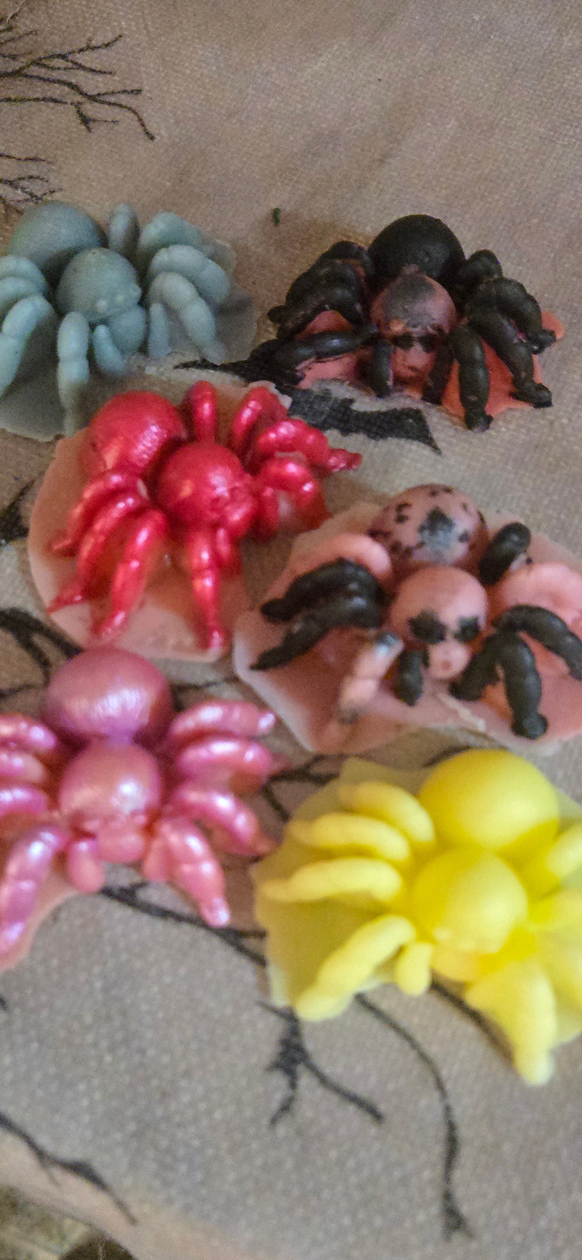 SPIDERS